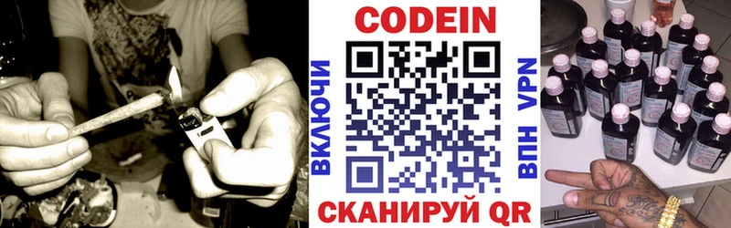 магазин  наркотиков  Заводоуковск  гидра как зайти  Кодеиновый сироп Lean напиток Lean (лин) 