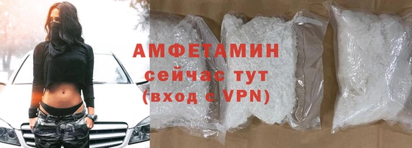 прущие грибы Балахна