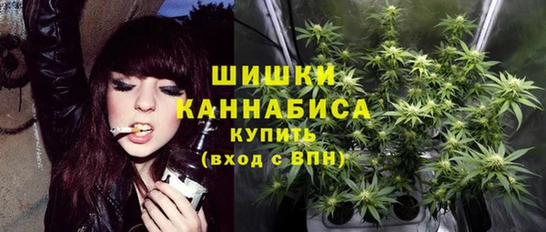 винт Белокуриха