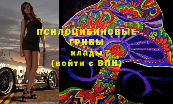 прущие грибы Балахна