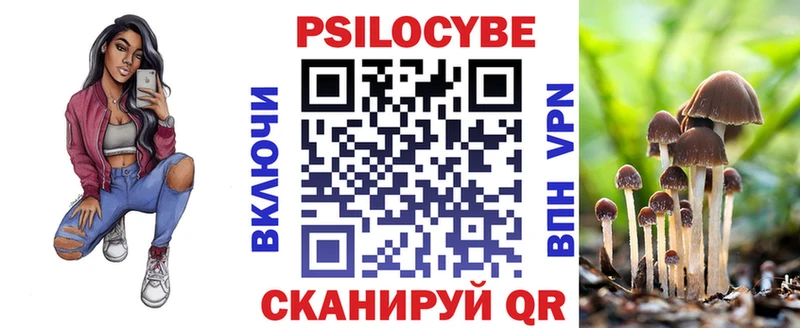 Псилоцибиновые грибы ЛСД  где купить наркоту  Заводоуковск 